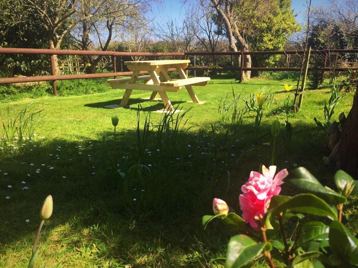 Herons Pool Bed & Breakfast Coverack Exterior foto